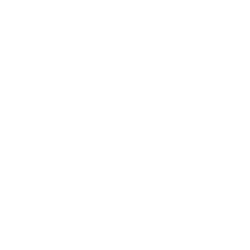 Fortytwo Security logo arrow